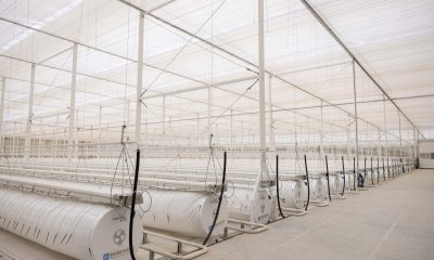 Topian Opens First Climate-Resilient Greenhouse in Oxagon